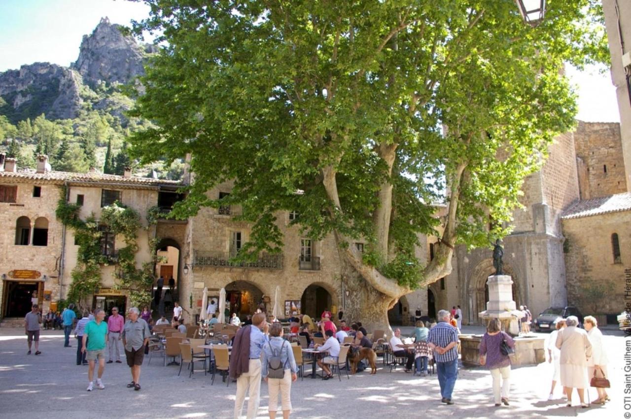 "Le Patio"-Meuble De Tourisme 3 Etoiles -Residence "Les Logis De Beziers"-Garage Optionnel-Coeur De Ville-Plages A 16Km ! Zewnętrze zdjęcie