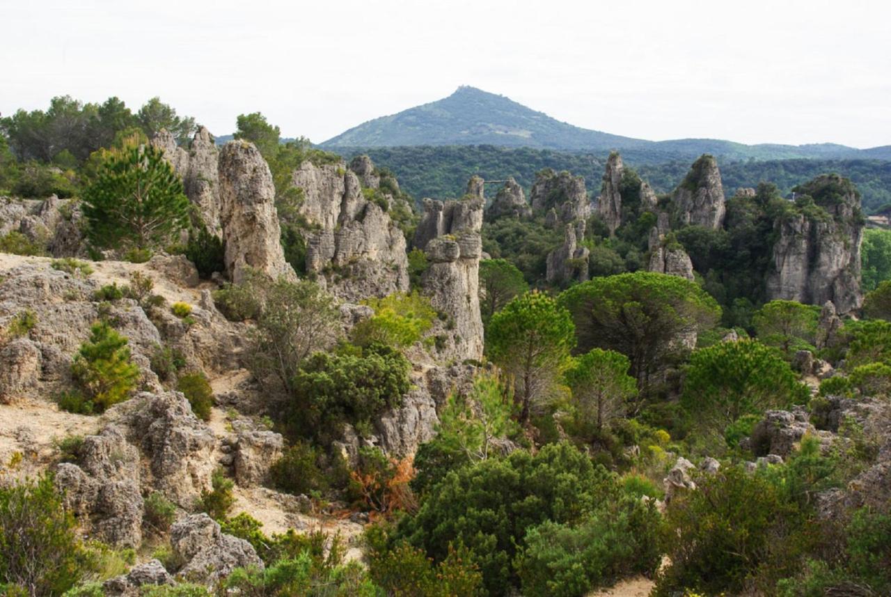 "Le Patio"-Meuble De Tourisme 3 Etoiles -Residence "Les Logis De Beziers"-Garage Optionnel-Coeur De Ville-Plages A 16Km ! Zewnętrze zdjęcie