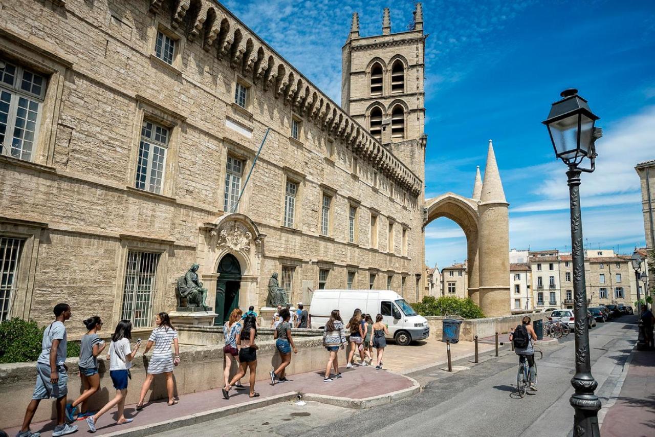 "Le Patio"-Meuble De Tourisme 3 Etoiles -Residence "Les Logis De Beziers"-Garage Optionnel-Coeur De Ville-Plages A 16Km ! Zewnętrze zdjęcie